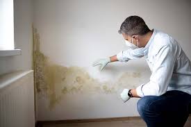 Best Airborne Mold Testing in Buckhall, VA